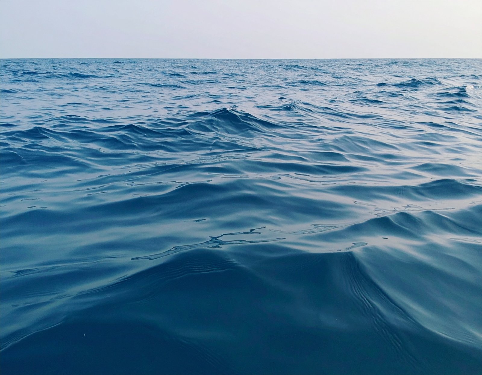 UI Designer Web3 | NFT Marketplace Design NeonVoid | Diseño Crypto UX Portfolio